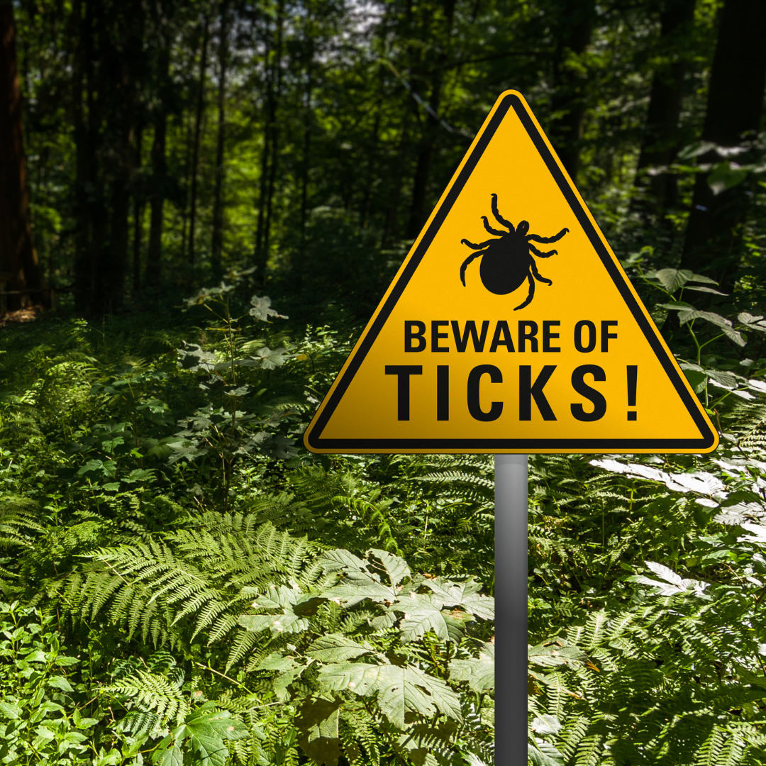 Ticks Forrest Ohio Pests: Watch Out for Ticks & More at Rohr's Nursery